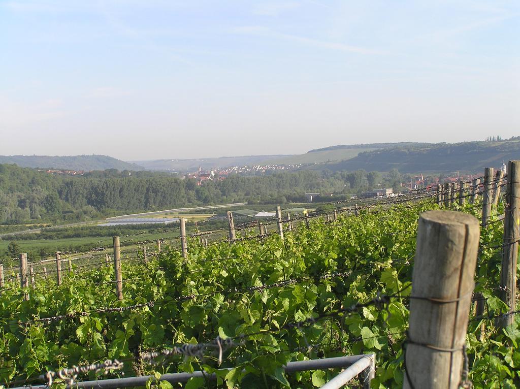 Ferienwohnung Am Alten Berg オクゼンフルト エクステリア 写真